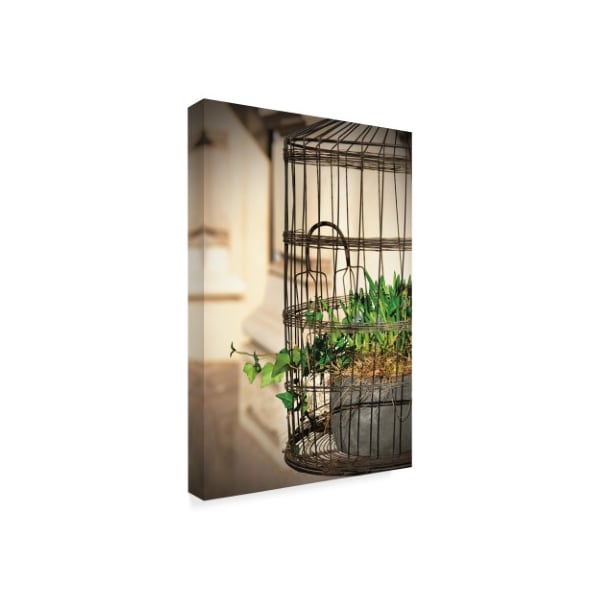 Christine Sainte-Laudy 'Caged Spring' Canvas Art,30x47